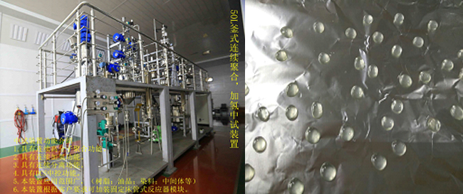 祝賀國(guó)內(nèi)首套釜式連續(xù)加氫中試成套裝置一次出料成功！.jpg
